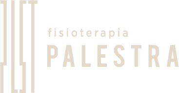 Palestra Fisioterapia Málaga